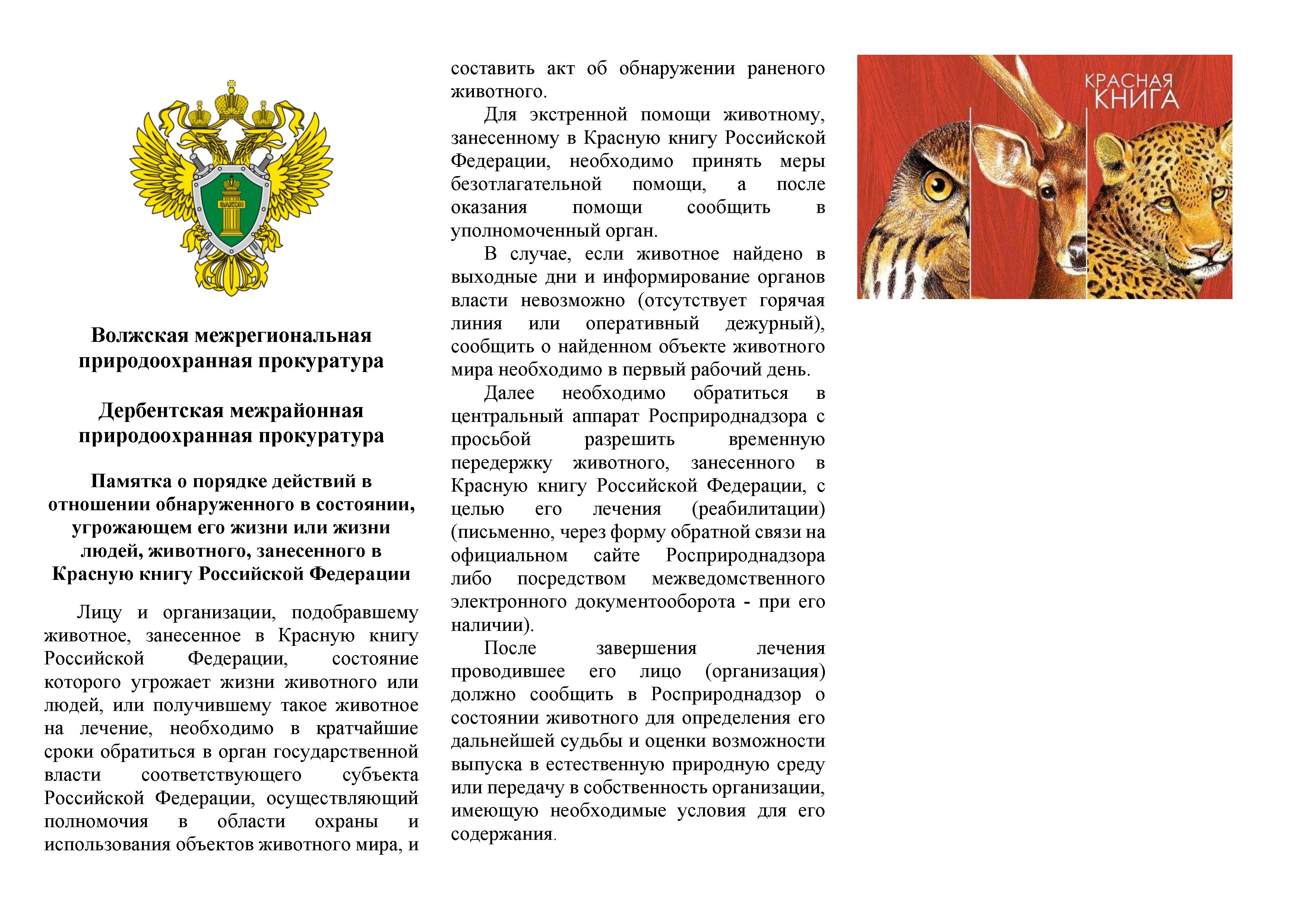 Памятка о порядке действий в  отношении обнаруженного в состоянии,  угрожающем его жизни или жизни  людей, животного, занесенного в  Красную книгу Российской Федерации.